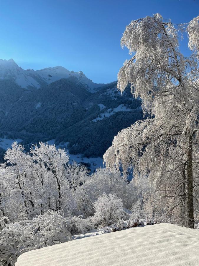 Chalet Rayon De Soleil Gryon Villars 외부 사진